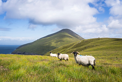 Voyage scolaire Galway 