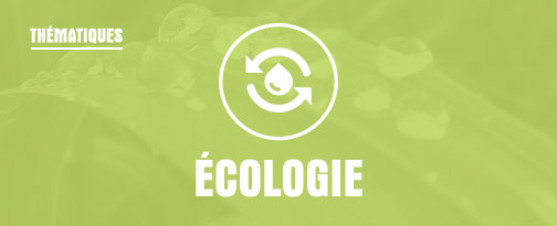 THEMATIQUE VOYAGES : Ecologie