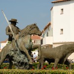 Voyage scolaire Camargue